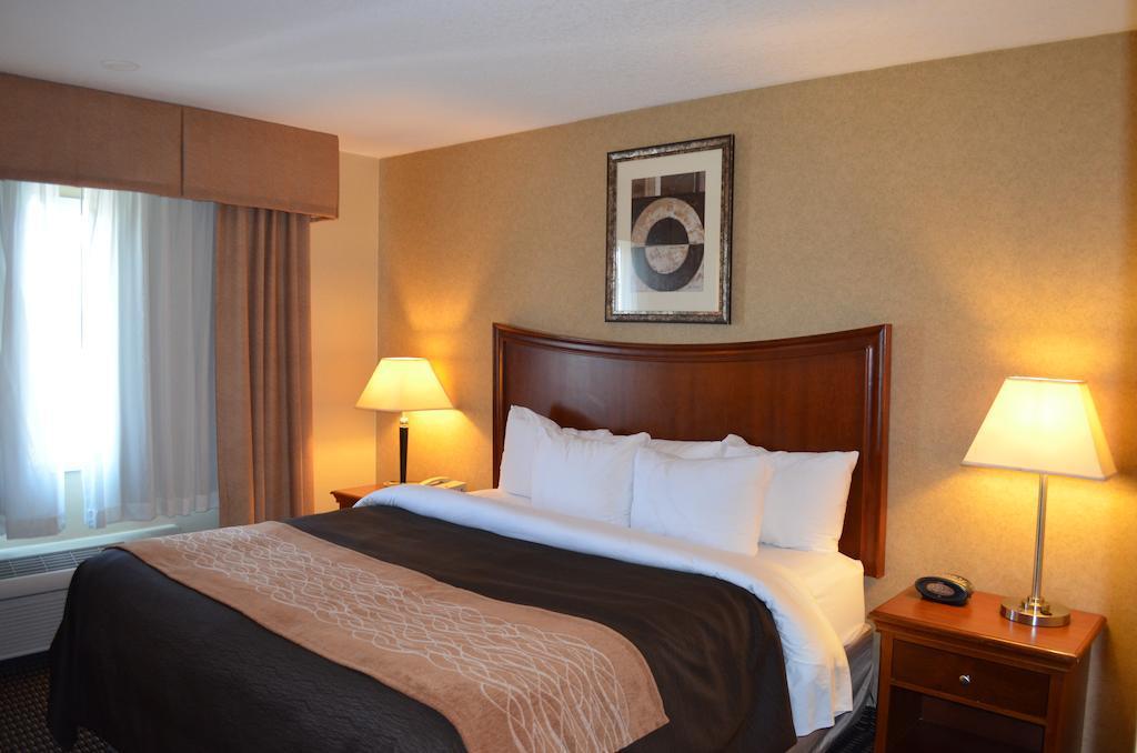 Comfort Inn & Suites Vancouver Downtown City Center Εξωτερικό φωτογραφία